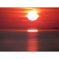 Bild von Ratehase HAGGA