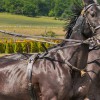 Puzzle Online mit 81 Puzzle Teilen.