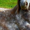 Bild zum Puzzle Spiel