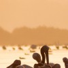 Puzzle Online mit 100 Puzzle Teilen.