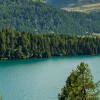 Puzzle Online mit 121 Puzzle Teilen.