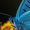 Puzzle Online mit 100 Puzzle Teilen.