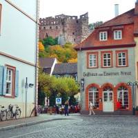 Suchbilder Spiel mit 11 Unterschieden in den Bildern