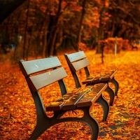 Schiebepuzzle mit 16 Schiebeteilen.