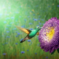 Schiebepuzzle mit 9 Schiebeteilen.