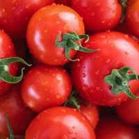 Schiebepuzzle mit 36 Schiebeteilen.