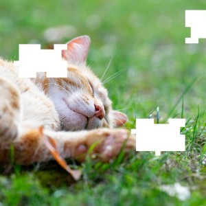 Mit unserem kostenlosen Puzzle Generator erstellst Du schnell und einfach ein eigenes Bilder Puzzle aus einem beliebigen Motiv